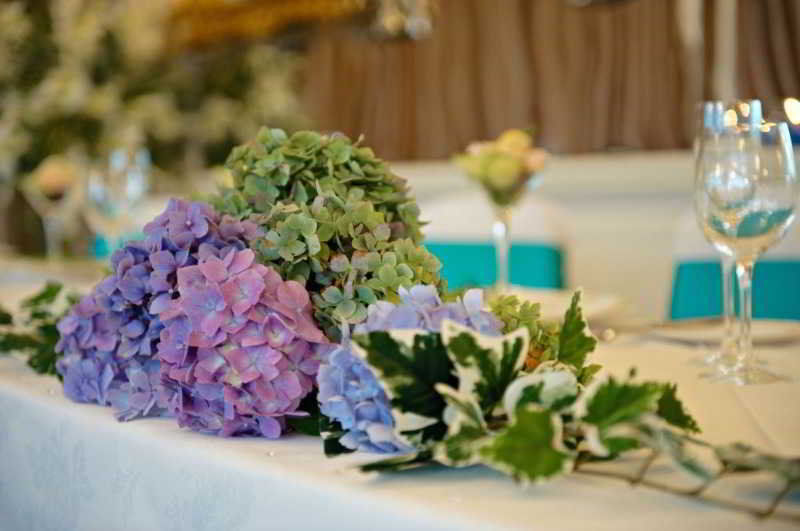 Moorland Garden Hotel Yelverton Εξωτερικό φωτογραφία